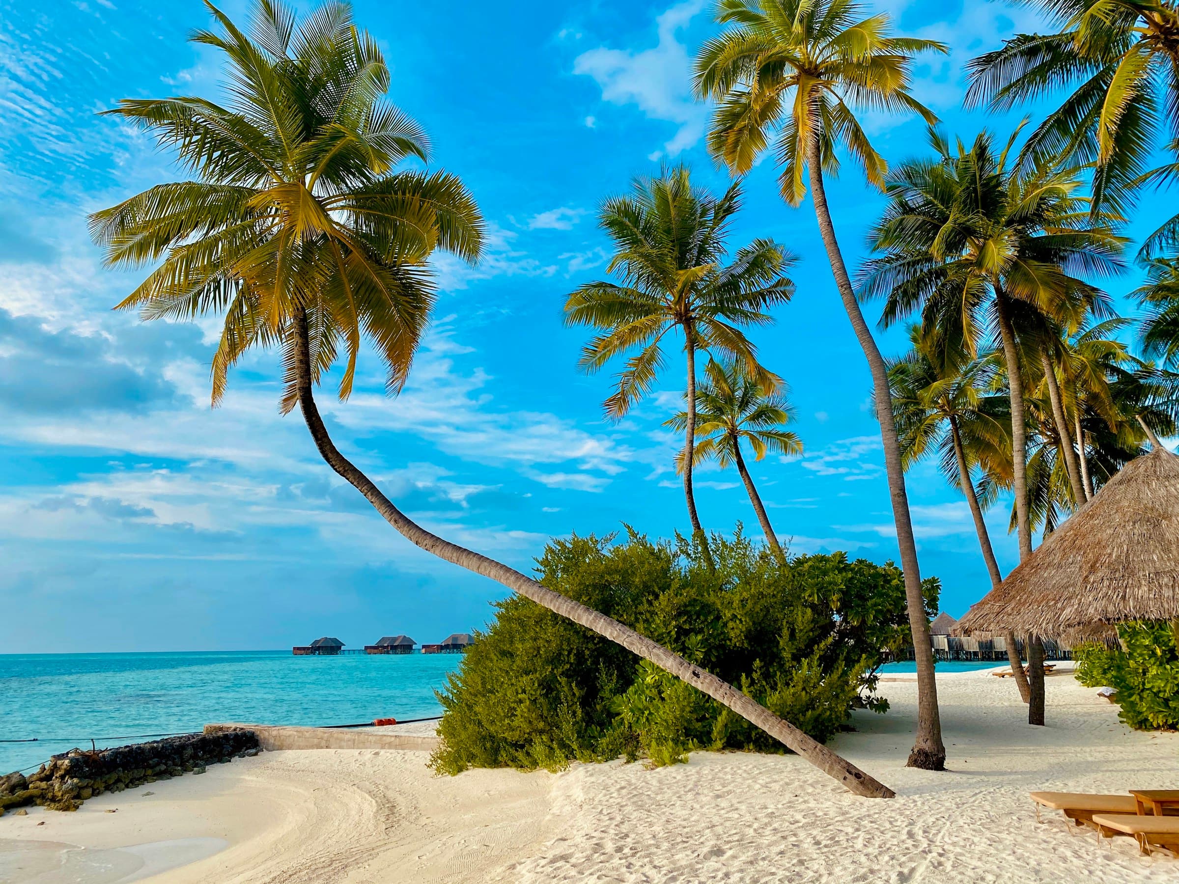 Premium Choice Holidays